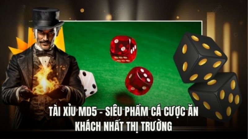 Hướng Dẫn 5 Cách Soi Cầu Tài Xỉu MD5 Chính Xác