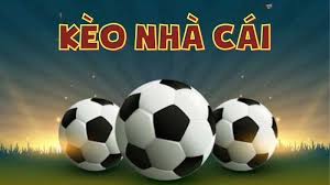 Cá cược kèo nhà cái Sunwin theo chiến lược cược flat betting