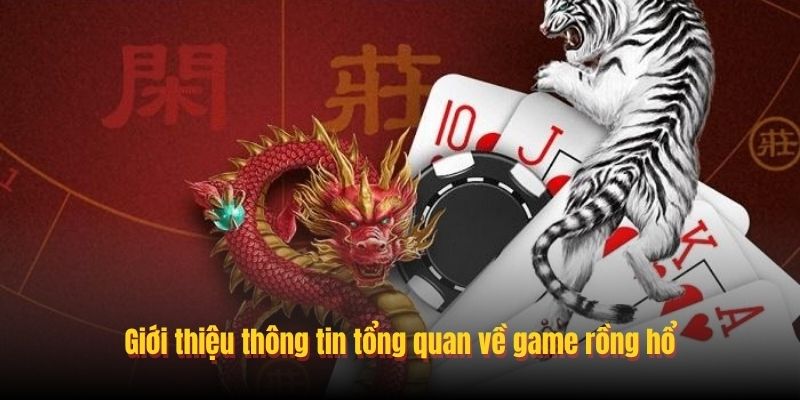 Khái niệm về soi cầu Rồng Hổ và sức hút tại Sunwin